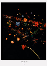 Vicki King - Untitled